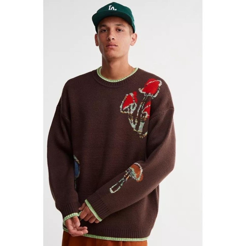 Urban Outfitters UO Mushroom Intarsia Sweater Men's L Brown Green Fairycore